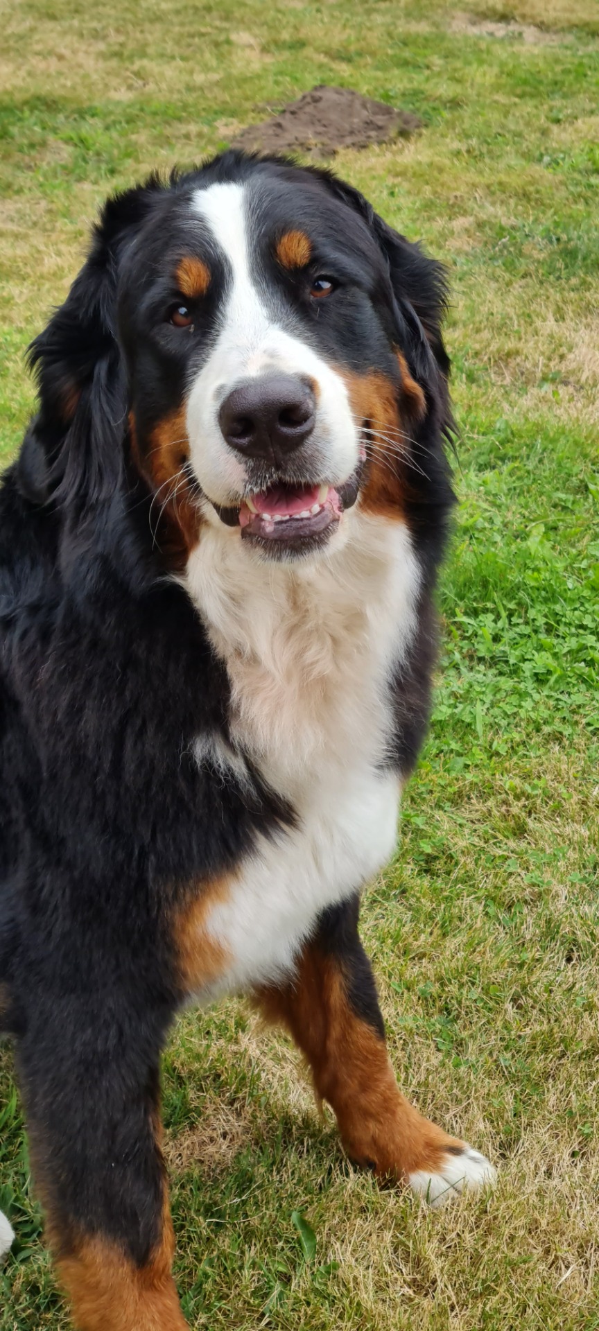 Xora van Kennel van Riona